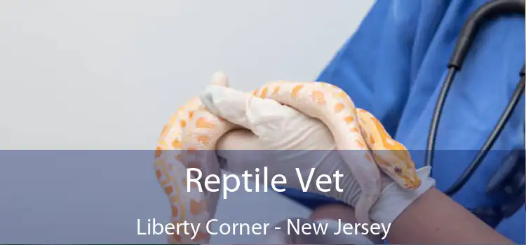 Reptile Vet Liberty Corner - New Jersey