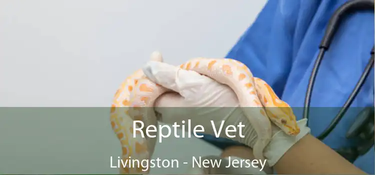 Reptile Vet Livingston - New Jersey