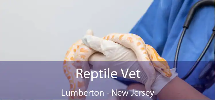 Reptile Vet Lumberton - New Jersey
