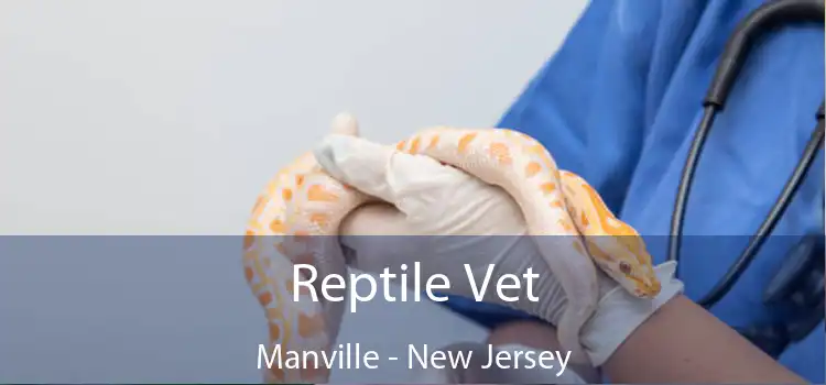 Reptile Vet Manville - New Jersey