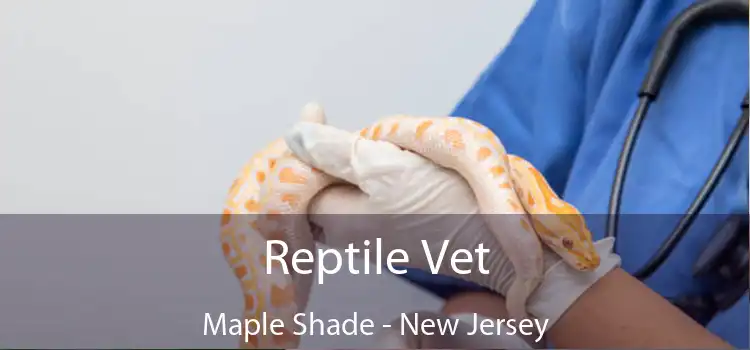 Reptile Vet Maple Shade - New Jersey