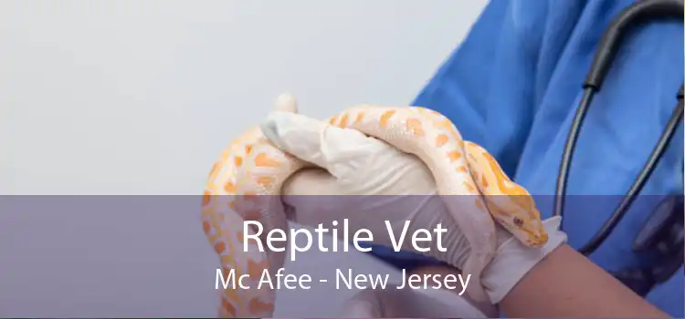 Reptile Vet Mc Afee - New Jersey