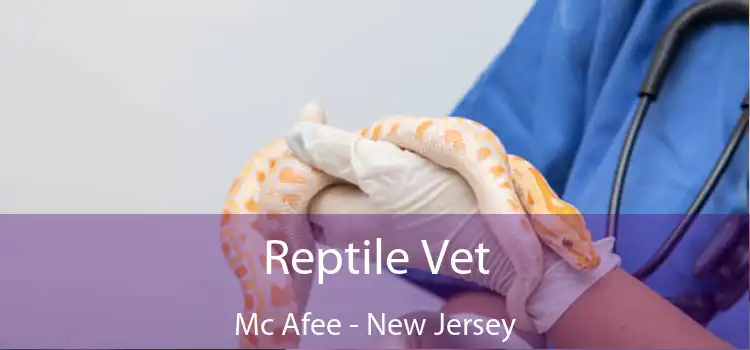 Reptile Vet Mc Afee - New Jersey