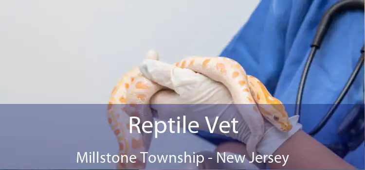 Reptile Vet Millstone Township - New Jersey
