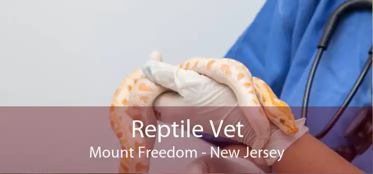 Reptile Vet Mount Freedom - New Jersey