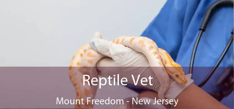 Reptile Vet Mount Freedom - New Jersey