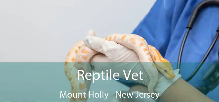 Reptile Vet Mount Holly - New Jersey