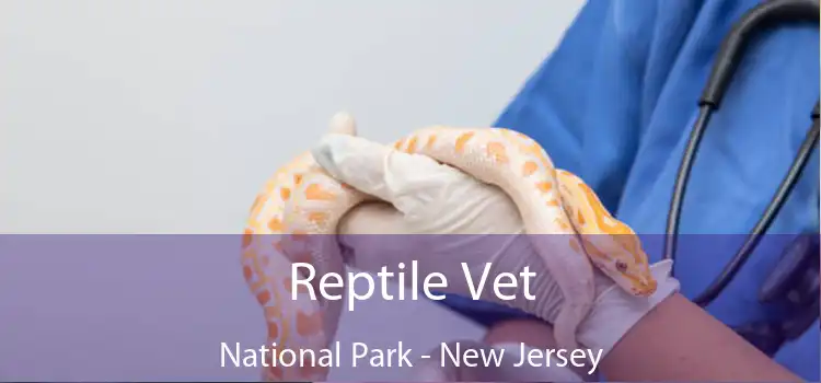 Reptile Vet National Park - New Jersey