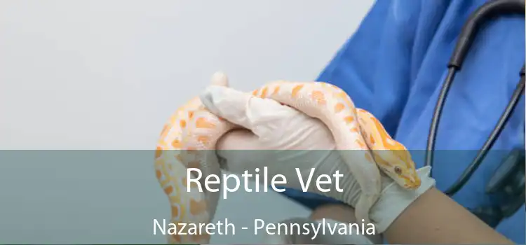 Reptile Vet Nazareth - Pennsylvania