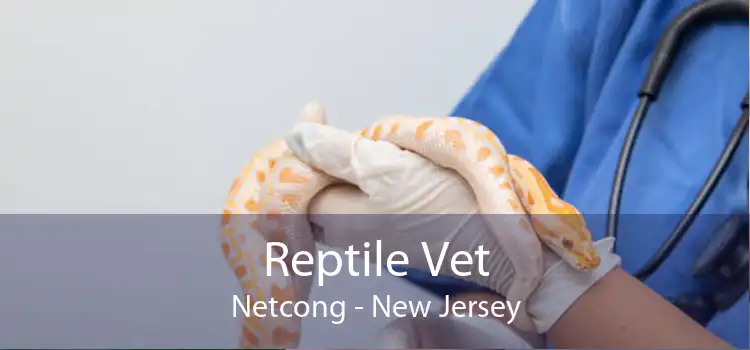 Reptile Vet Netcong - New Jersey