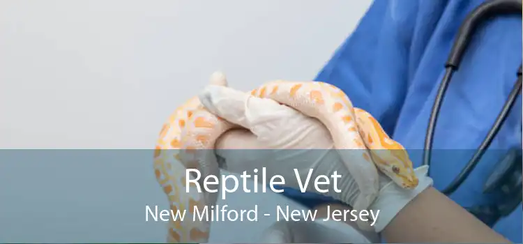 Reptile Vet New Milford - New Jersey