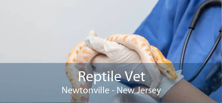 Reptile Vet Newtonville - New Jersey