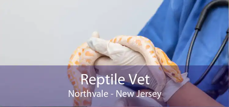 Reptile Vet Northvale - New Jersey