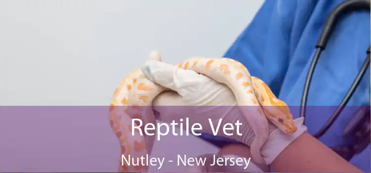 Reptile Vet Nutley - New Jersey