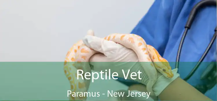 Reptile Vet Paramus - New Jersey