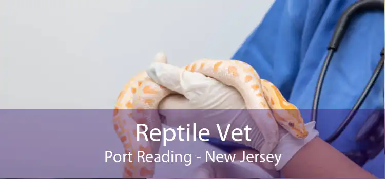 Reptile Vet Port Reading - New Jersey