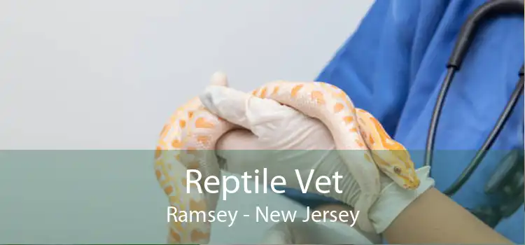 Reptile Vet Ramsey - New Jersey