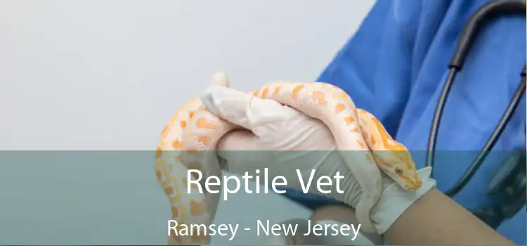 Reptile Vet Ramsey - New Jersey