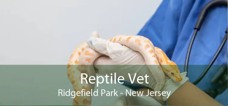 Reptile Vet Ridgefield Park - New Jersey