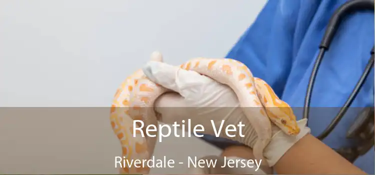 Reptile Vet Riverdale - New Jersey