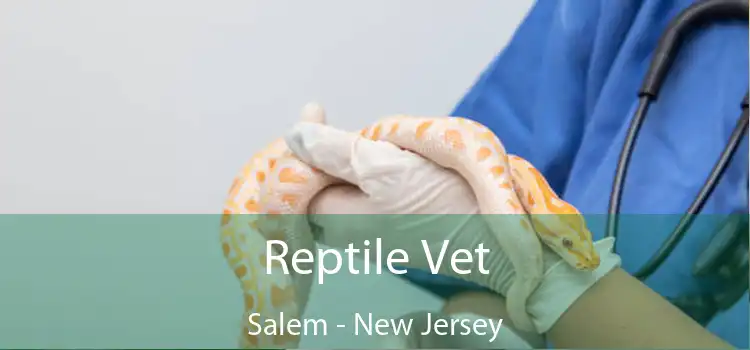 Reptile Vet Salem - New Jersey