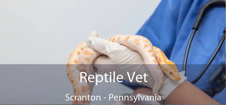 Reptile Vet Scranton - Pennsylvania