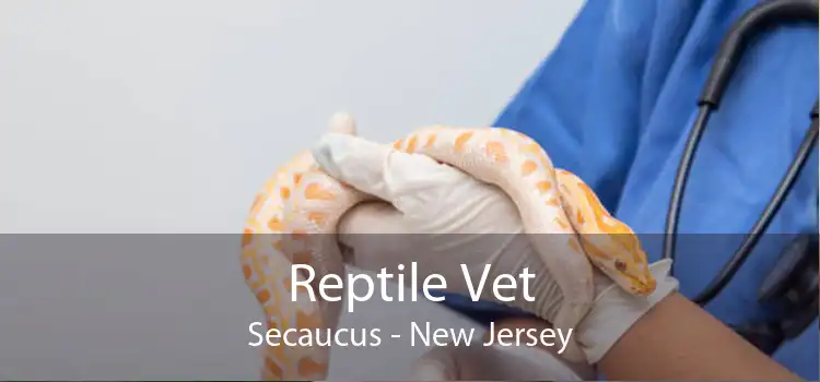 Reptile Vet Secaucus - New Jersey