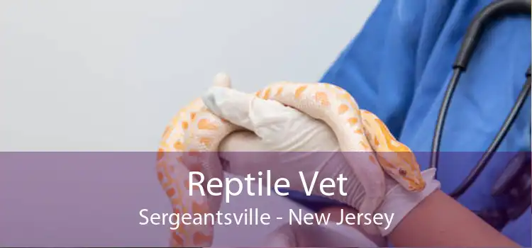 Reptile Vet Sergeantsville - New Jersey