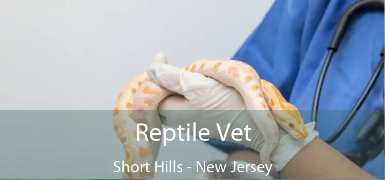Reptile Vet Short Hills - New Jersey