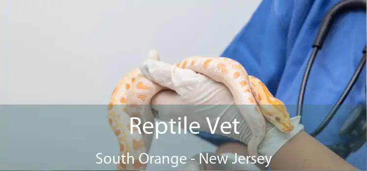 Reptile Vet South Orange - New Jersey