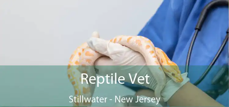 Reptile Vet Stillwater - New Jersey