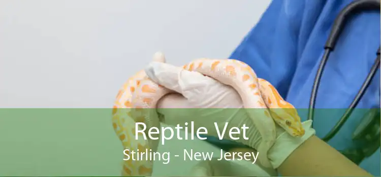 Reptile Vet Stirling - New Jersey