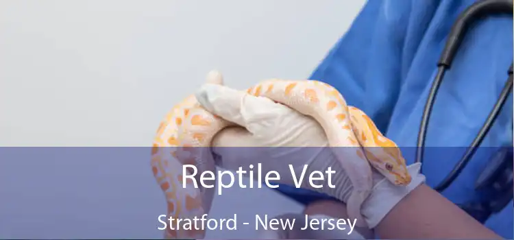 Reptile Vet Stratford - New Jersey