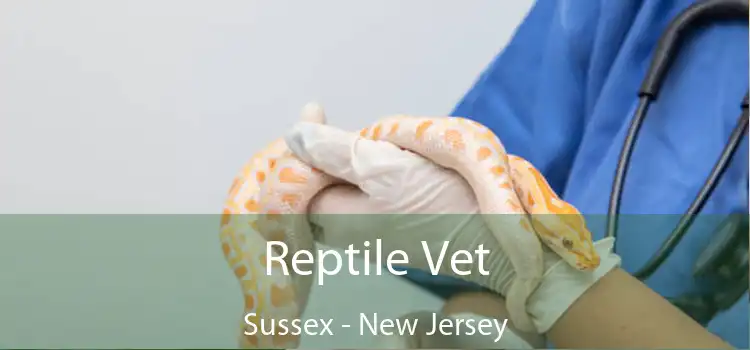 Reptile Vet Sussex - New Jersey