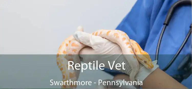 Reptile Vet Swarthmore - Pennsylvania