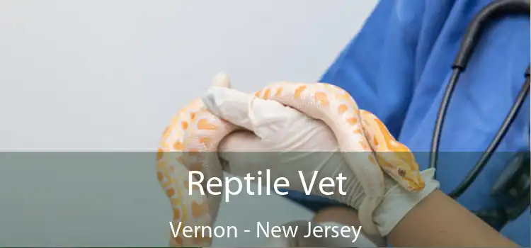 Reptile Vet Vernon - New Jersey