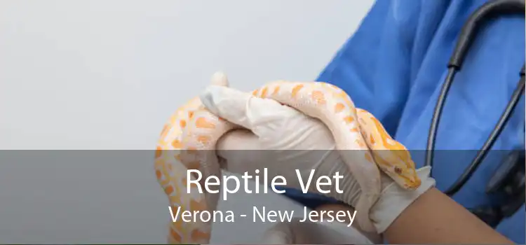 Reptile Vet Verona - New Jersey