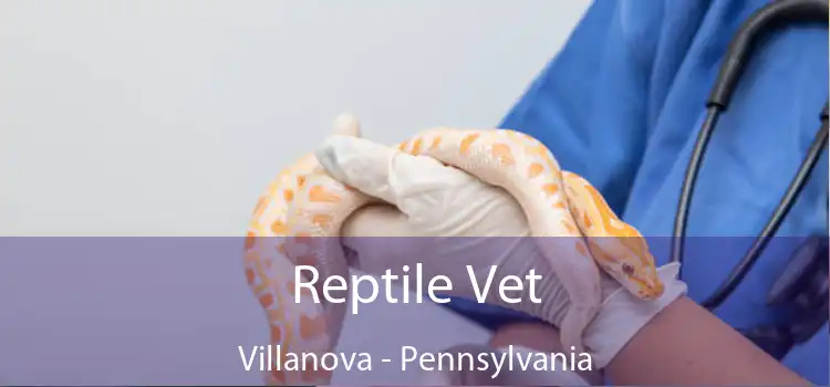 Reptile Vet Villanova - Pennsylvania