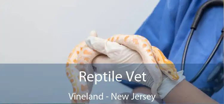 Reptile Vet Vineland - New Jersey