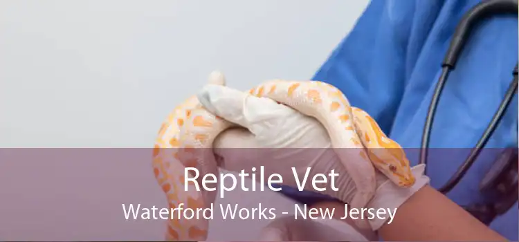 Reptile Vet Waterford Works - New Jersey