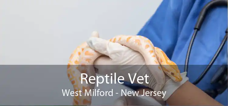 Reptile Vet West Milford - New Jersey