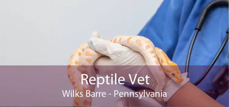 Reptile Vet Wilks Barre - Pennsylvania