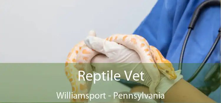 Reptile Vet Williamsport - Pennsylvania