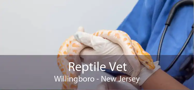Reptile Vet Willingboro - New Jersey