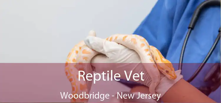 Reptile Vet Woodbridge - New Jersey