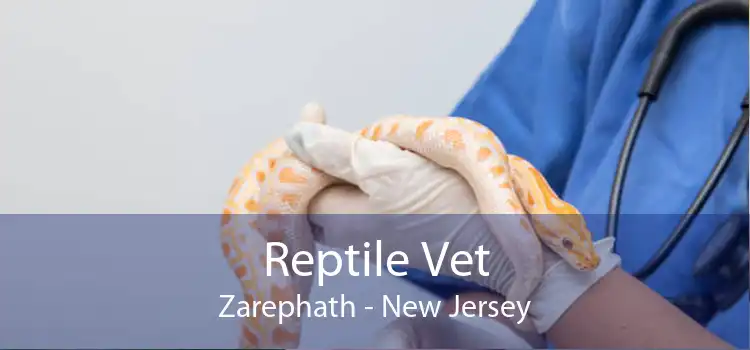 Reptile Vet Zarephath - New Jersey