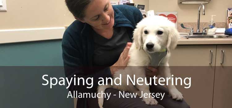Spaying and Neutering Allamuchy - New Jersey