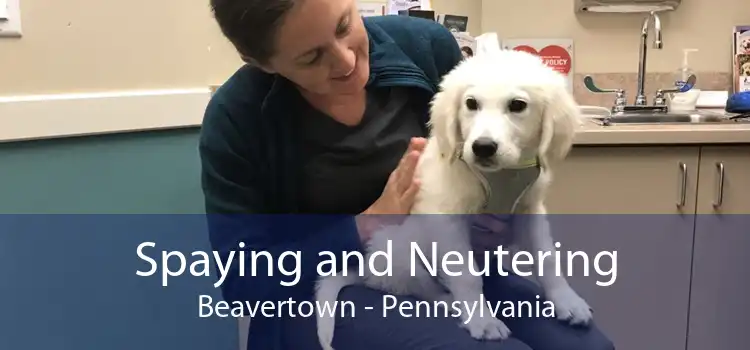 Spaying and Neutering Beavertown - Pennsylvania