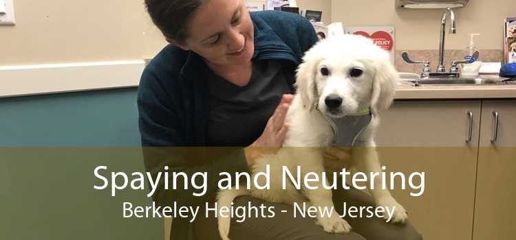 Spaying and Neutering Berkeley Heights - New Jersey