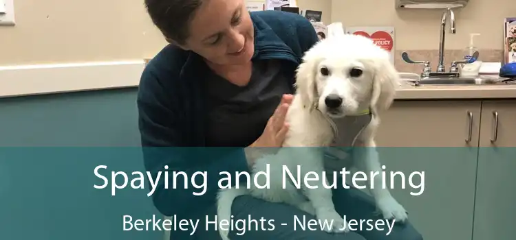 Spaying and Neutering Berkeley Heights - New Jersey